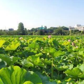 みんなで散策（写真は以前、みんなで行った場所の写真です） − 東京都