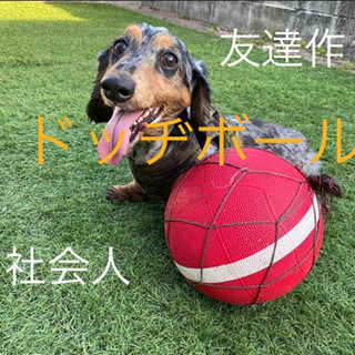 🌈青春ドッヂボール☘️😊楽しく社会人🧸🎈