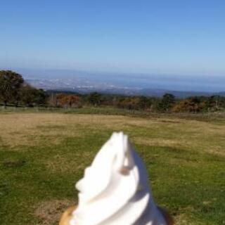 美味しい物が食べたいのです！