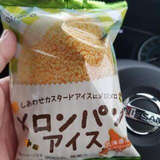 休みで暇だはー(´-ω-`)