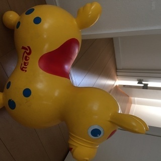 ロディの画像