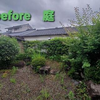 格安草取りできます‼️