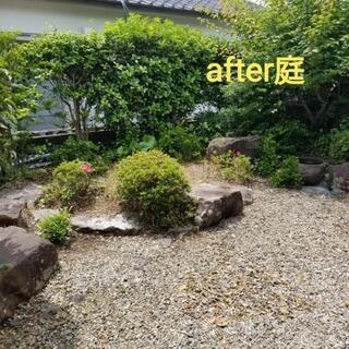 格安草取りできます‼️ - 宮崎市