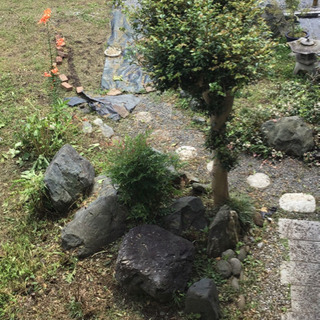 庭の石差し上げます