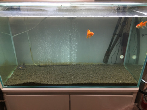 【取引中】90cmフレームレス水槽その他もろもろセット