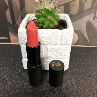 未使用 SENNA セナ SHEER LIP COLOR SPF15 口紅の画像