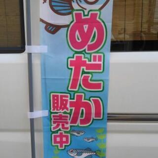 メダカ売ります！終了！