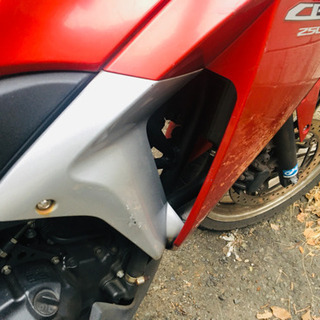 CBR250R MC41 の画像