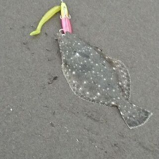 サーフからのフラット狙い