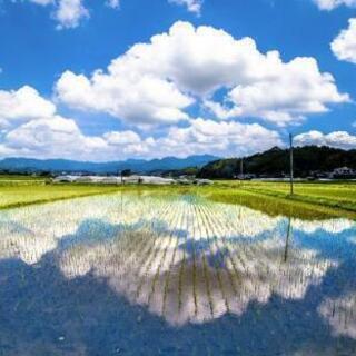 より良い生き方を考える - その他