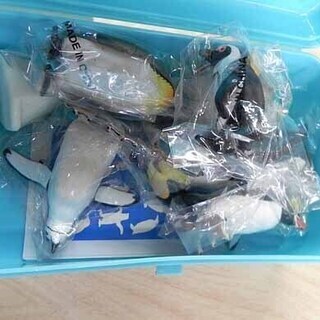 保管未使用 カロラータ ペンギンボックス フィギュア 12種類 動物 ☆ PayPay(ペイペイ)決済可能 ☆ 札幌市 白石区 東札幌の画像
