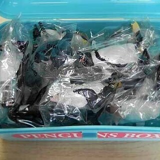 保管未使用 カロラータ ペンギンボックス フィギュア 12種類 動物 ☆ PayPay(ペイペイ)決済可能 ☆ 札幌市 白石区 東札幌の画像