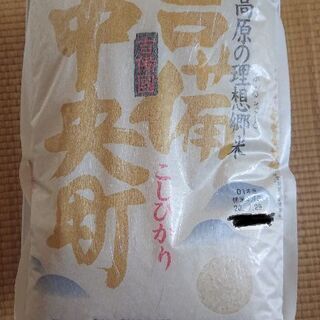 お米 こしひかり 15kg
