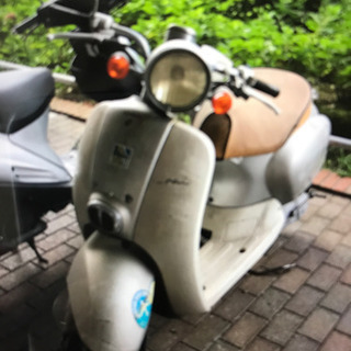 ホンダ　ジョルノクレア50