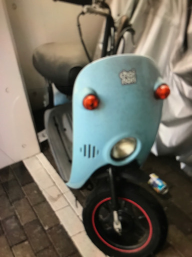 スズキ　チョイノリ