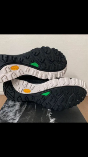 THE  NORTHFACE GORE TEX 27cm 新品未使用