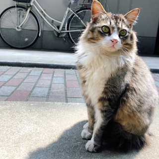 愛情表現が豊かな子