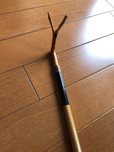 ヘラブナ　へらぶな　将影（玉受）