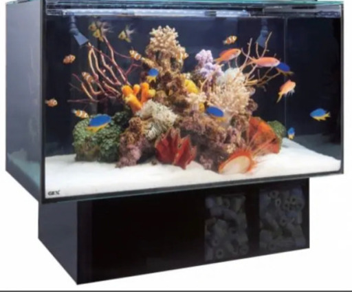 値段した【水槽】GEX アグス ４５０(淡水 海水用) セット