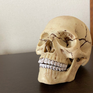 オンライン骨盤矯正