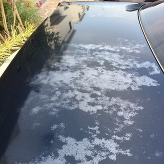 トヨタ　クラウン　マジェスタの画像