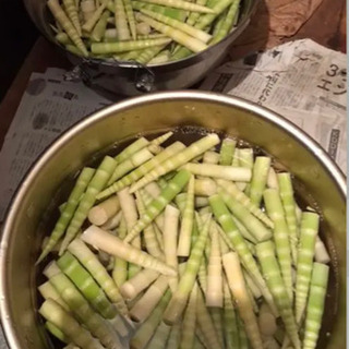 秋田県産　竹の子　缶詰　お中元やお歳暮にもの画像