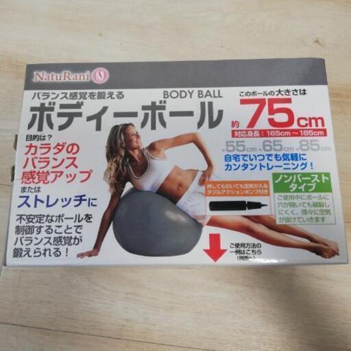 ボディーボール