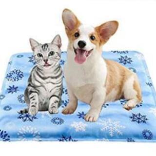 ひんやり枕　新品未使用の画像