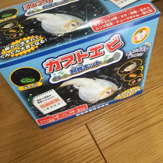 カブトエビ飼育キット