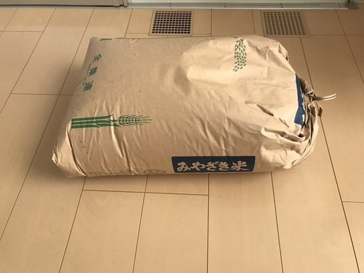 穫れたて２０２０年（令和２年）８月１日収穫　宮崎県産コシヒカリ　玄米　３０ｋｇ