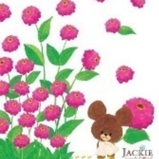 お友達募集してます✳︎