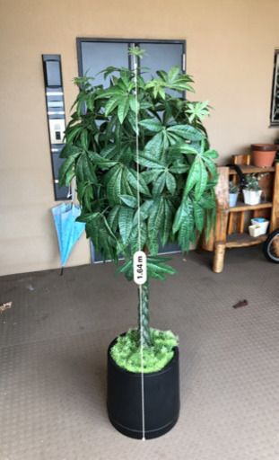 観葉植物（パキラ）造花