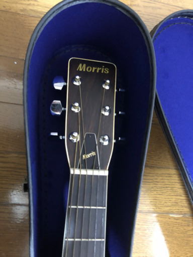 モーリスギター f-20 中古