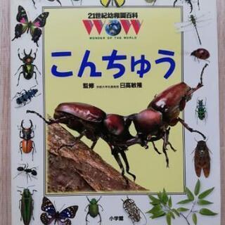 絵本「こんちゅう　21世紀幼稚園百科」【お届け可能】