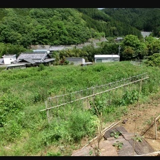★貸土地★  和泉市大野町　１０９９坪　#資材置き場　＃トラック駐車場　#車両置き場の画像