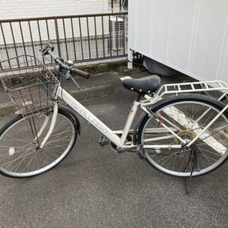 自転車　ホワイト