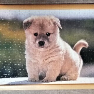 ★即日お渡し可能! ★ ジクソーパズル【 柴犬 仔犬 】 中サイ...