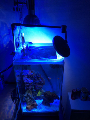 アクアリウム（個別販売も可能です。）