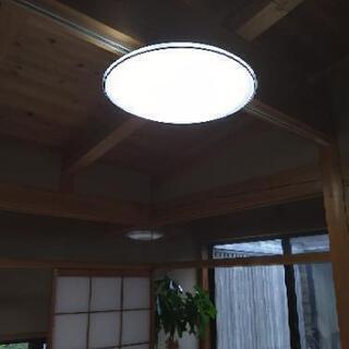 [ありがとうございました][配達無料][即日配達も可能？]LED...