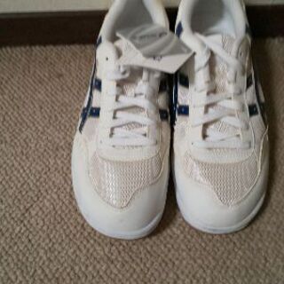 アシックス スポーツシューズ スニーカー 体育館靴 25.5センチ