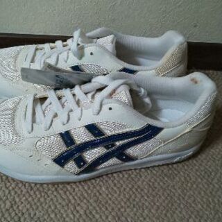 アシックス スポーツシューズ スニーカー 体育館靴 25.5センチの画像