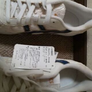 アシックス スポーツシューズ スニーカー 体育館靴 25.5センチの画像