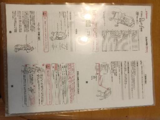 ピジョン Runfee A型ベビーカー