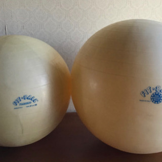 ギムニク gymnic 65 55 フィットボール