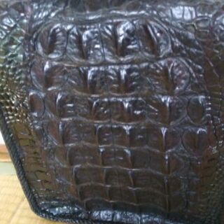 カイマンクロコダィル「極上品❤極厚の画像