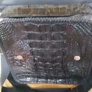 カイマンクロコダィル「極上品❤極厚の画像