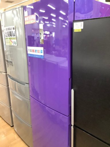 【取りに来れる方限定】Haierのパープルの冷蔵庫売ります！
