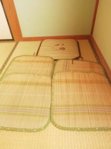 いぐさ座布団　五枚セット