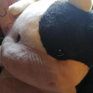 デカイ牛さん（無料でもいいです）の画像