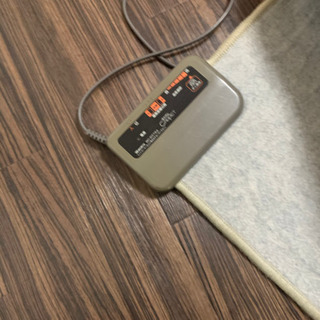 ラグマット ホットカーペット付き！の画像